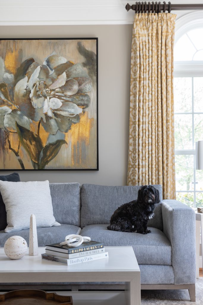 Small black dog on gray couch.